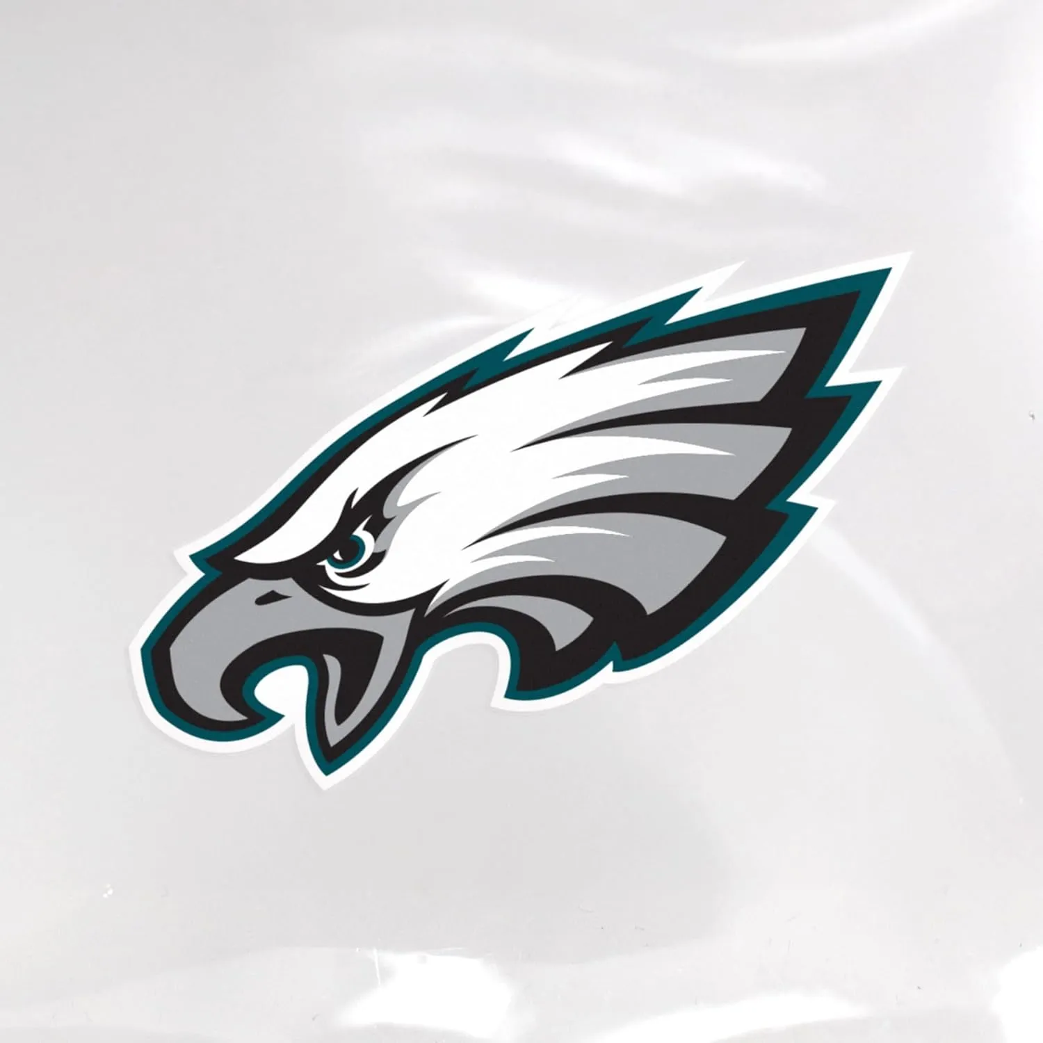 Littlearth NFL Clear Square Stadium Tote