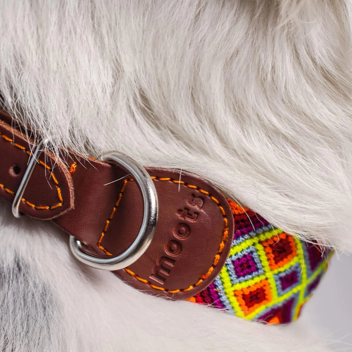 Moots Root Medium Dog Collar, Handmade with Durable Nylon and Leather, Colorful and Long-Lasting Design, Reinforced Steel Buckle, Adjustable, Comfortable, and Easy to Clean