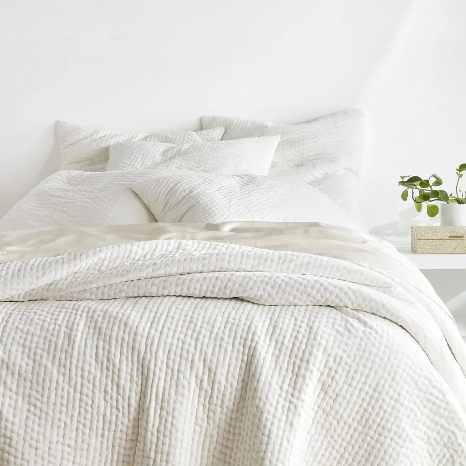 Viola Velvet Dove White Quilted Sham, Standard Size, Ivory Solid Pattern
